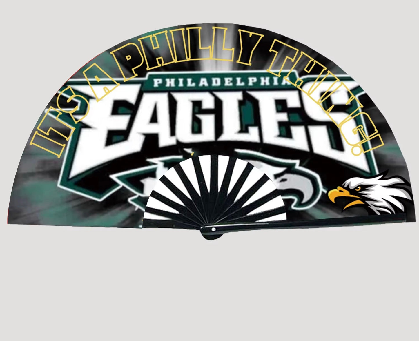 Big Eagles Fan